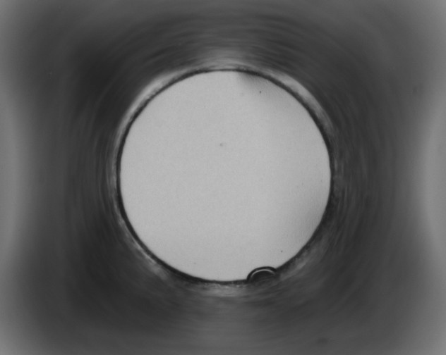 X0000084601191200703231920