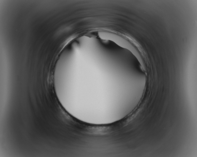 X0000084601193200703231920