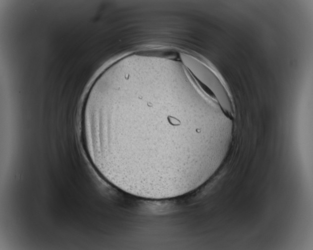 X0000084601195200703231920