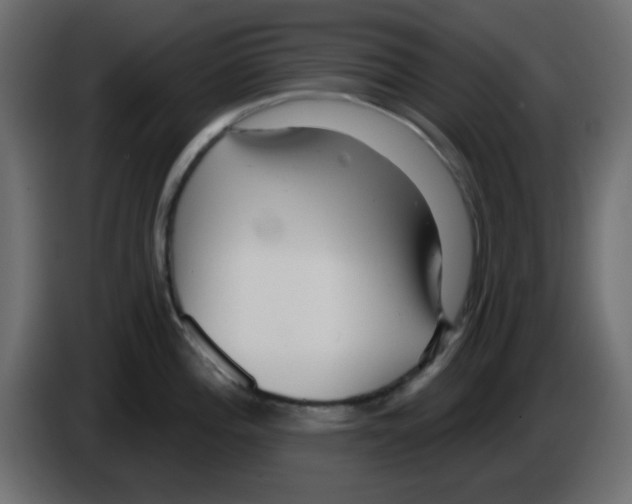 X0000084601196200703231920