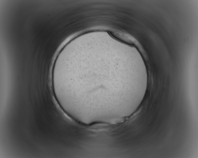 X0000084601199200703231920