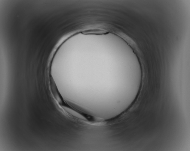 X0000084601200200703231920