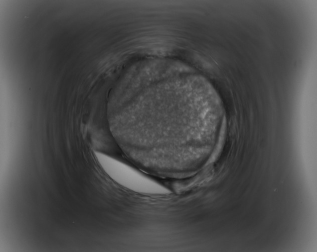 X0000084601202200703231919