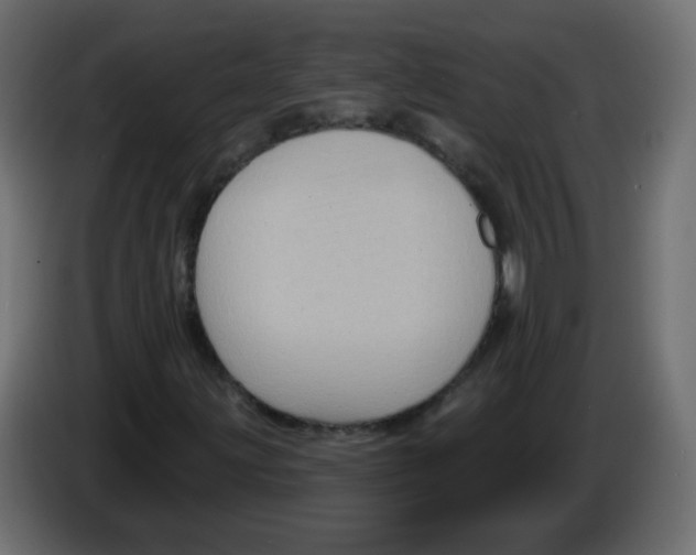 X0000084601203200703231919