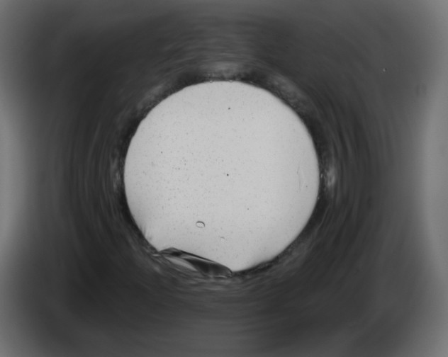 X0000084601204200703231919