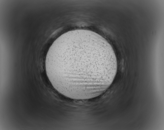 X0000084601205200703231919