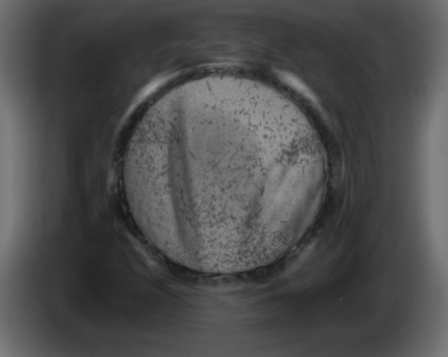 X0000084601208200703231919