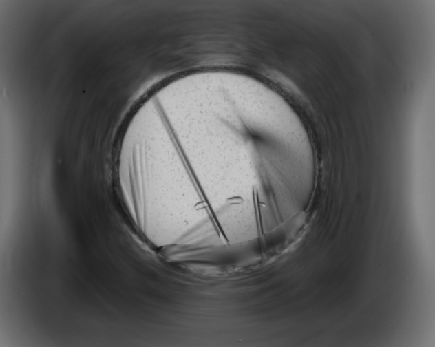 X0000084601212200703231919