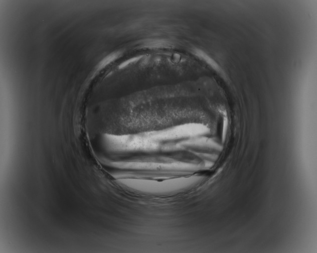 X0000084601213200703231919