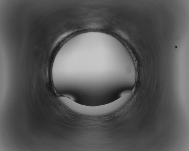 X0000084601214200703231919