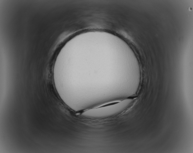 X0000084601215200703231919