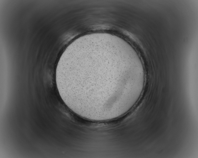 X0000084601217200703231919