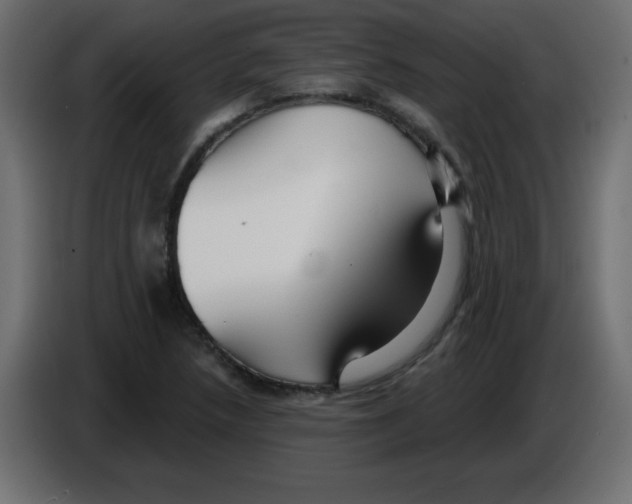 X0000084601218200703231919