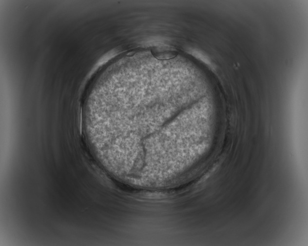 X0000084601219200703231919