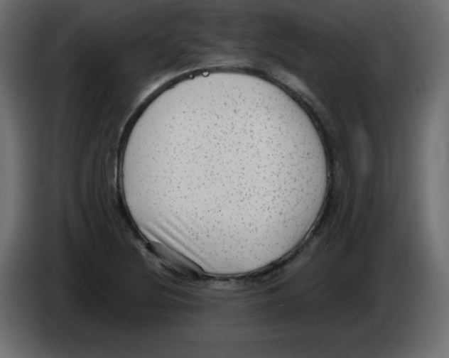 X0000084601220200703231919