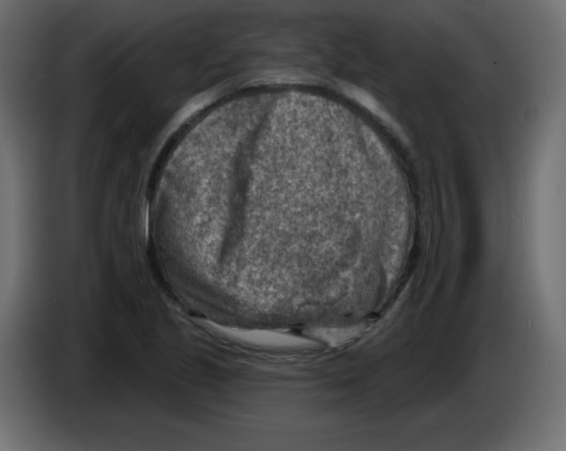 X0000084601221200703231919