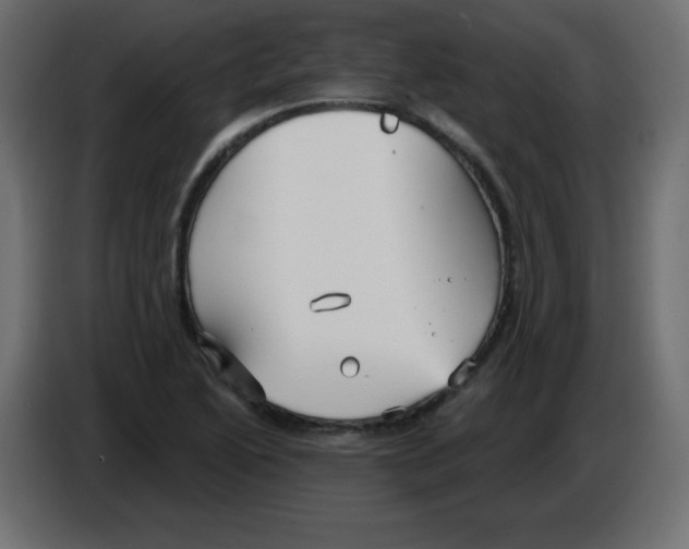 X0000084601222200703231919