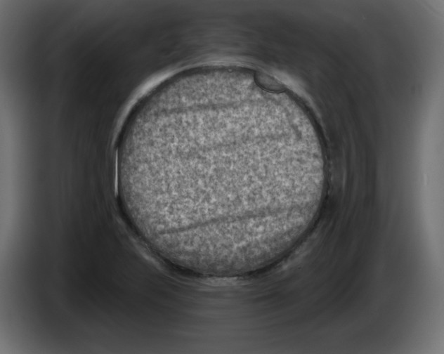 X0000084601223200703231919