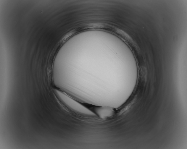 X0000084601225200703231919