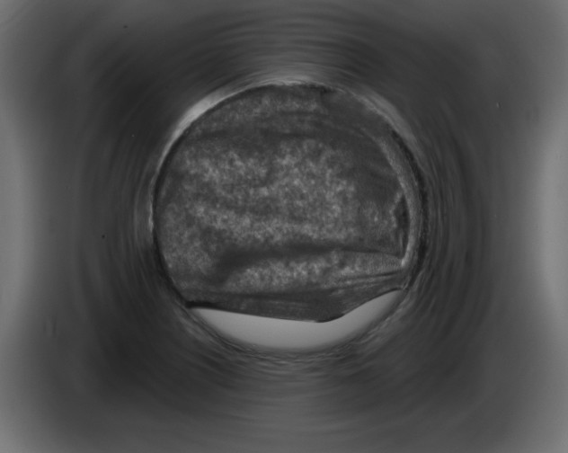 X0000084601226200703231919