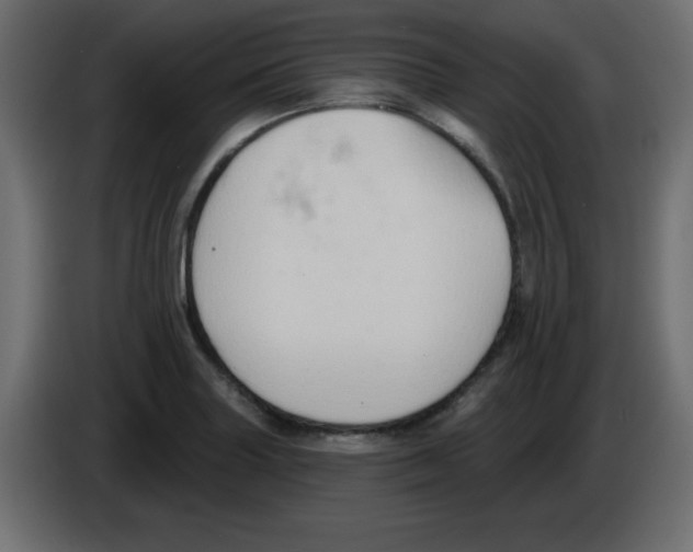 X0000084601227200703231919