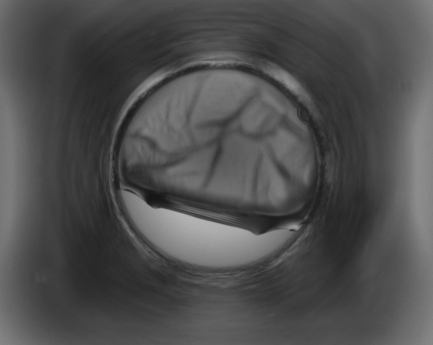 X0000084601229200703231919