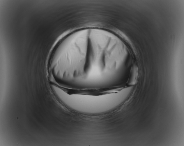 X0000084601230200703231919