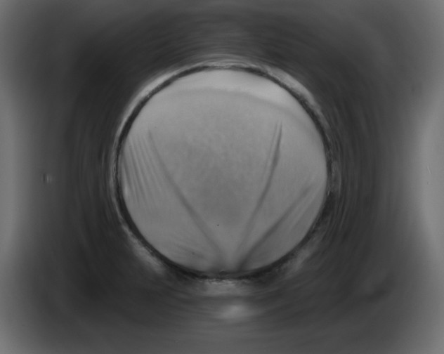 X0000084601231200703231919