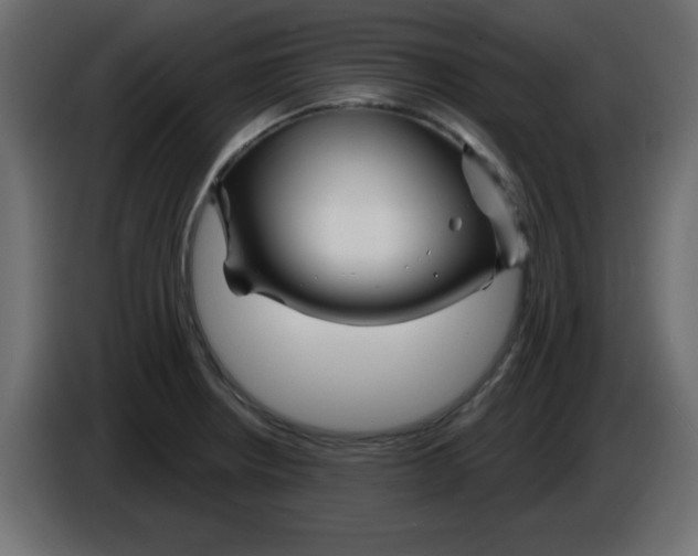 X0000084601234200703231919