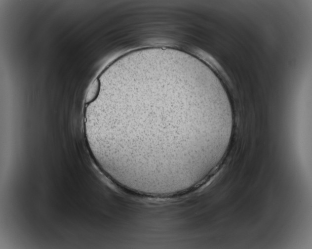 X0000084601236200703231919