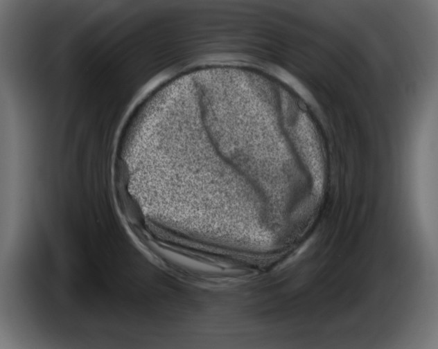 X0000084601237200703231920