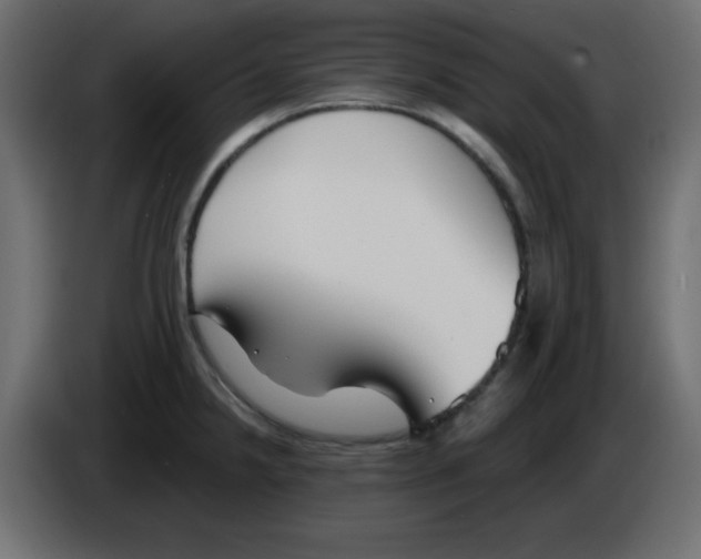 X0000084601238200703231920