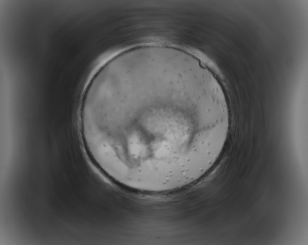 X0000084601239200703231920