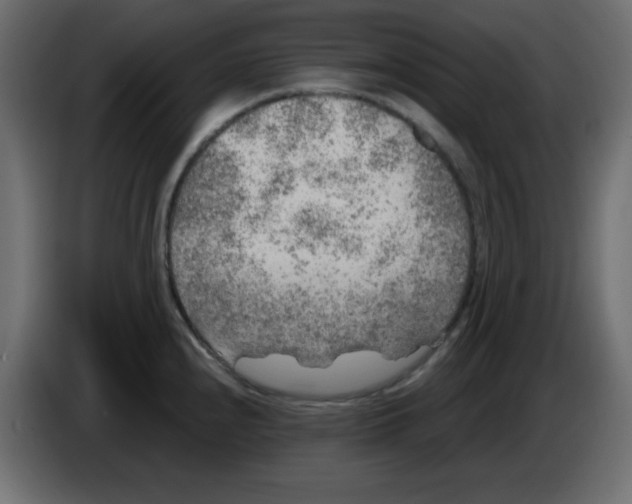 X0000084601240200703231920