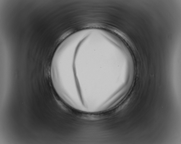 X0000084601241200703231920