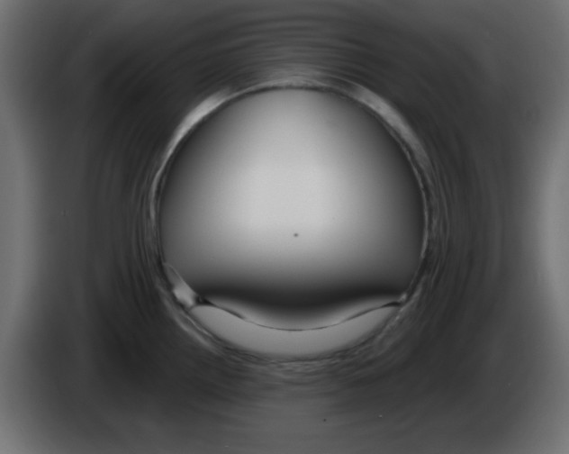 X0000084601242200703231920