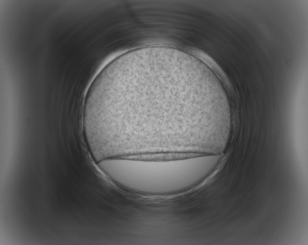 X0000084601244200703231920