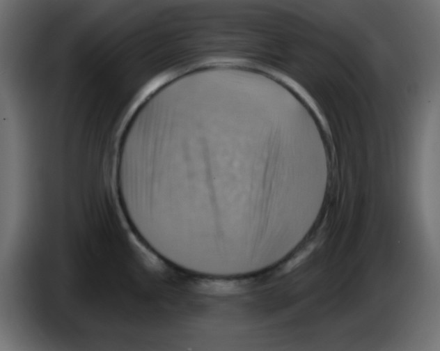 X0000084601245200703231920