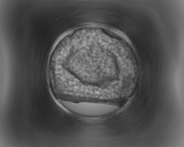 X0000084601247200703231920