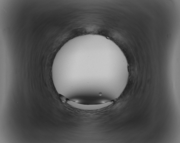 X0000084601249200703231919