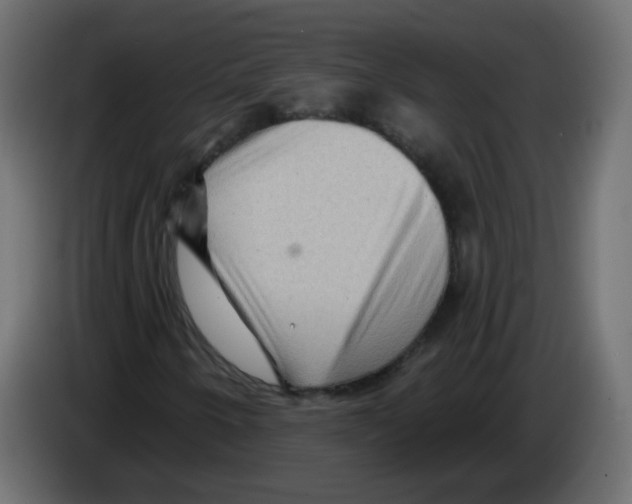 X0000084601250200703231919