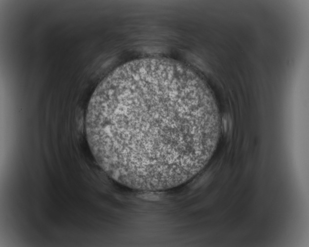 X0000084601251200703231919