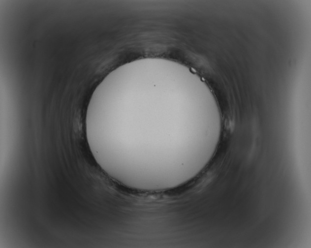 X0000084601252200703231919