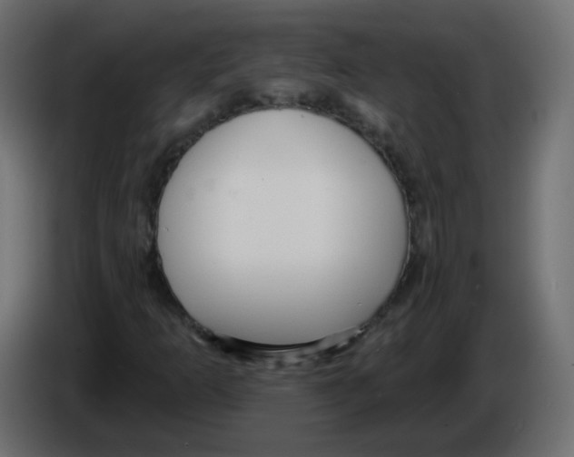 X0000084601253200703231919