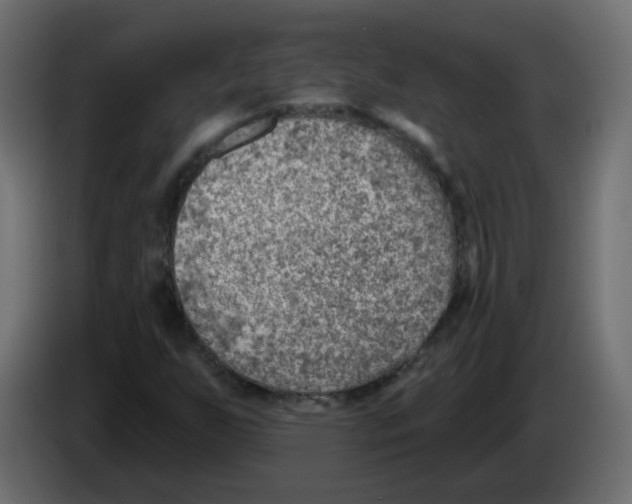 X0000084601255200703231919