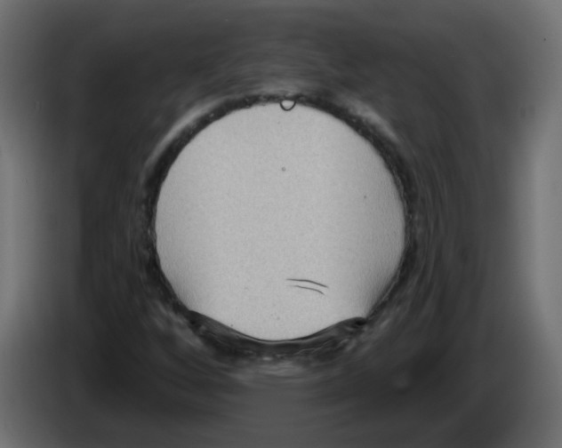 X0000084601256200703231919