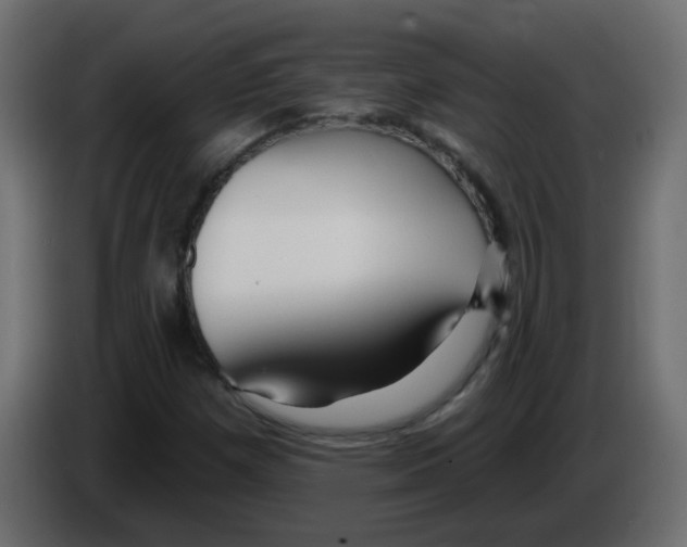 X0000084601257200703231919