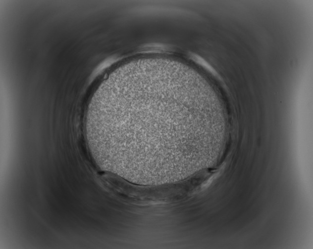 X0000084601259200703231919