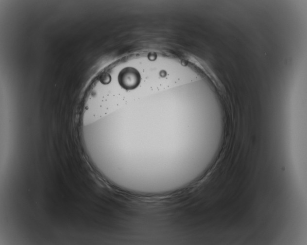 X0000084601260200703231919