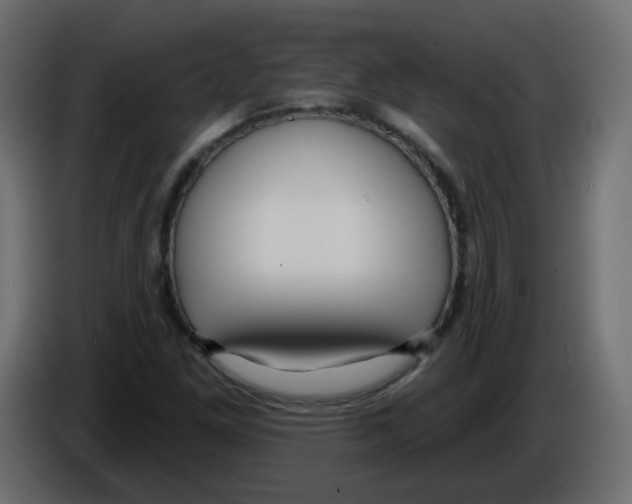 X0000084601261200703231919